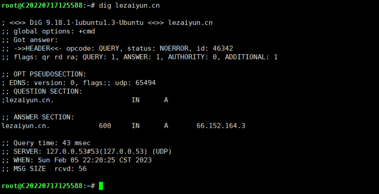 Ubuntu安装dig DNS查询服务工具